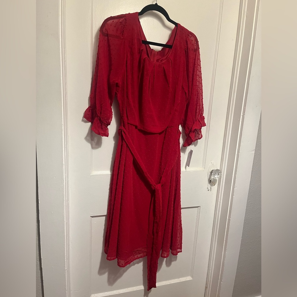 Gorgeous Red dress